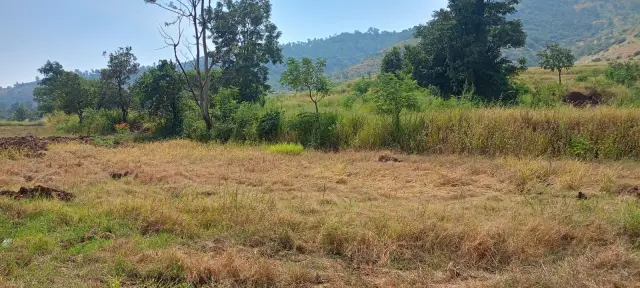 Ketkawne Vangni, Velhe, Pune