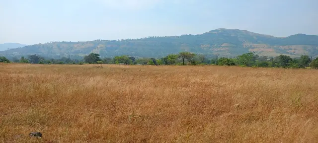 Nigde Ketkawne, Velhe, Pune